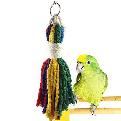 Pet Bird Toys