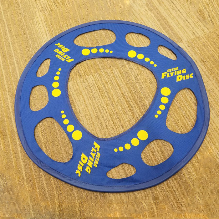 Frisbee With Hole - Image 1